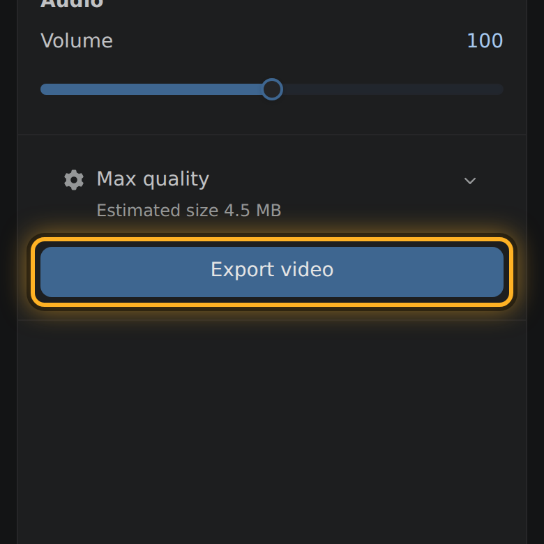 The Export video button.